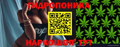 ГАЛЛЮЦИНОГЕННЫЕ ГРИБЫ Новодвинск