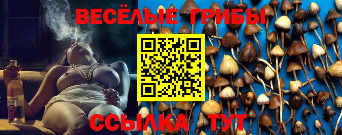 Сунжа  Галлюциногенные грибы GOLDEN TEACHER  закладки  Вход с VPN 